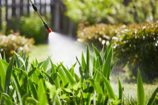 24/7 Emergency Cockroach Control experts in Leachville, AR